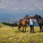 Почивка сред природа и конна езда с. Кирково | Ваканционен комплекс Лина
